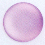 Muggel, 24mm, violet