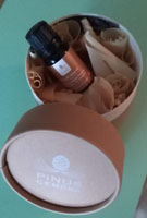 Pinus Cembra 10ml Zirben�l